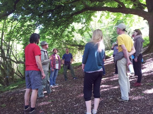 Glastonbury Level In The Woods Openhand